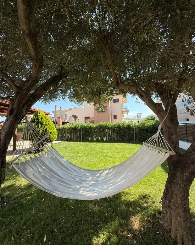 Relaxation under the olive trees