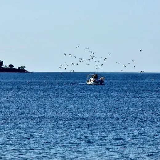 Nikiti Beach - 300 m from Bella House