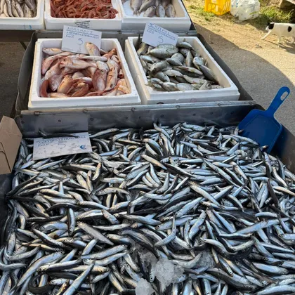 Local Producers Market - Nikiti