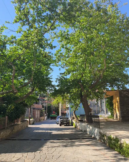 Old Nikiti Village